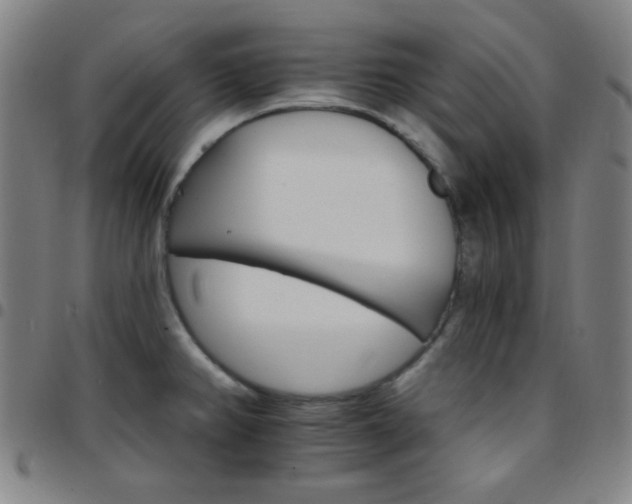 X0000097671382200803071545