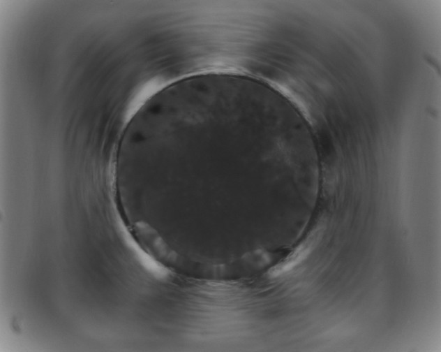 X0000097671383200803071545