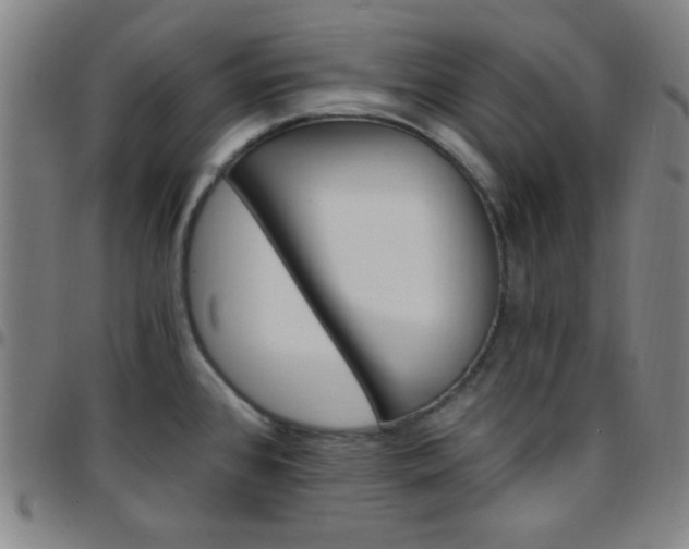 X0000097671384200803071545