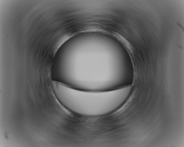 X0000097671385200803071545