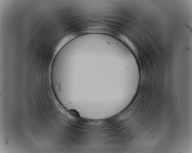 X0000097671386200803071545