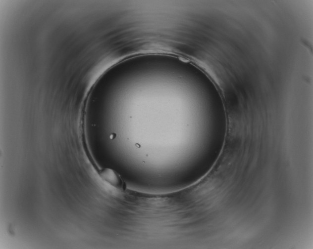 X0000097671387200803071545