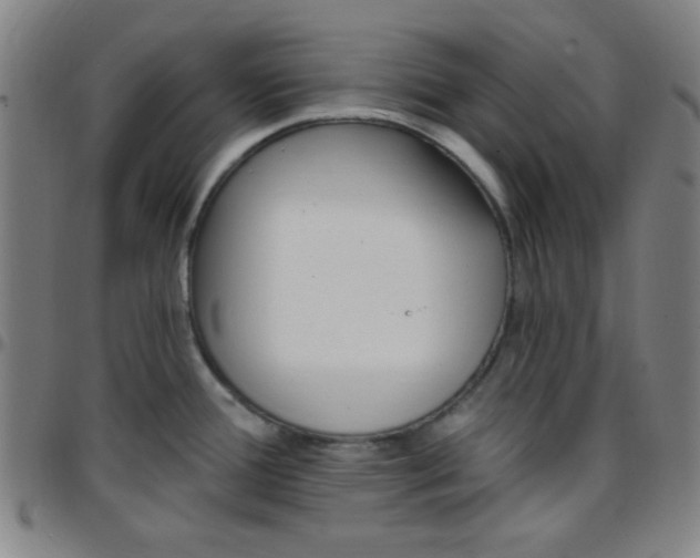 X0000097671388200803071545