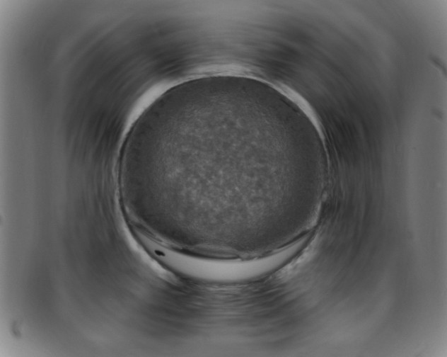 X0000097671389200803071545