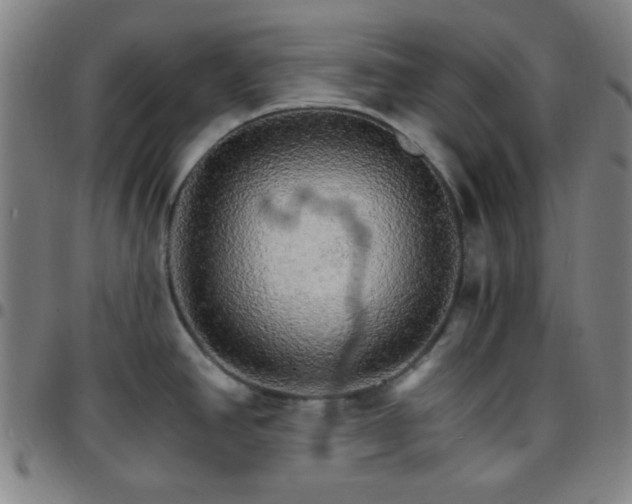 X0000097671390200803071545