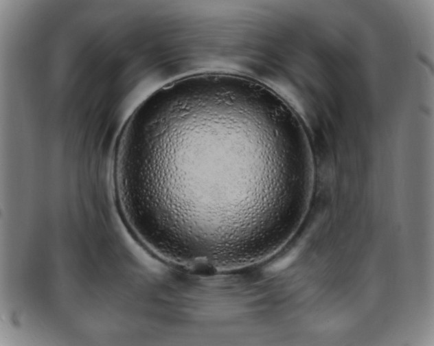 X0000097671391200803071545