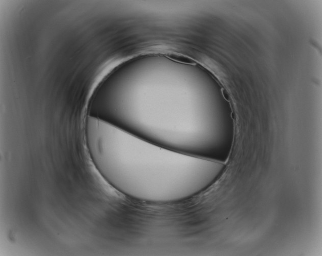 X0000097671392200803071545