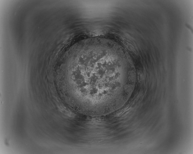 X0000097671393200803071544