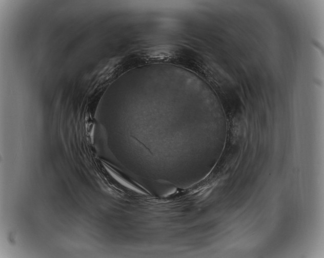 X0000097671394200803071544