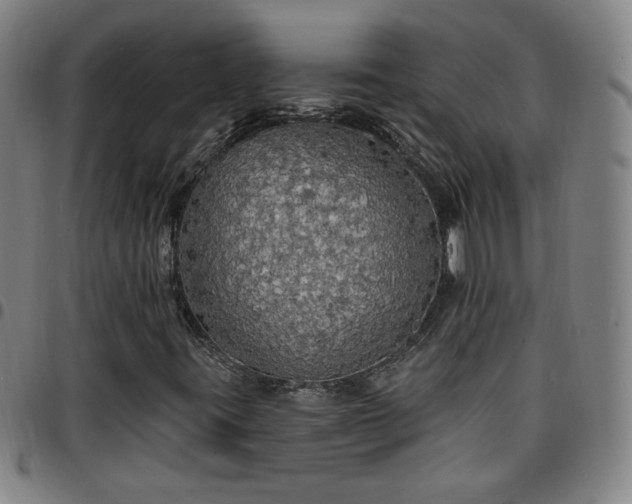 X0000097671395200803071544