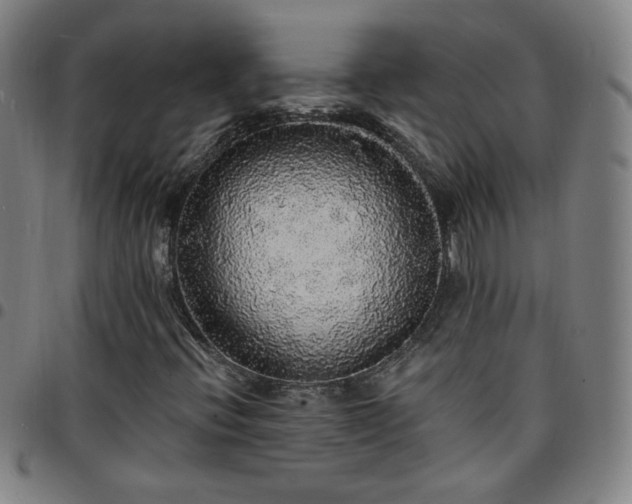 X0000097671396200803071544