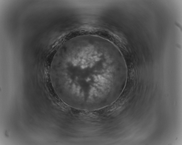 X0000097671397200803071544