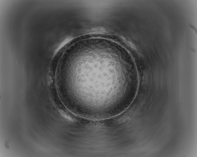 X0000097671400200803071544