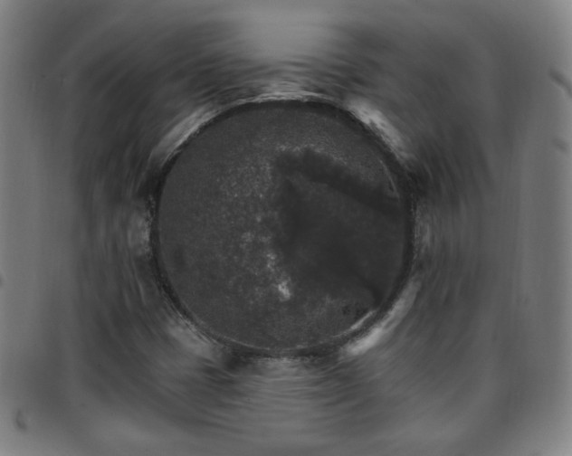 X0000097671401200803071544