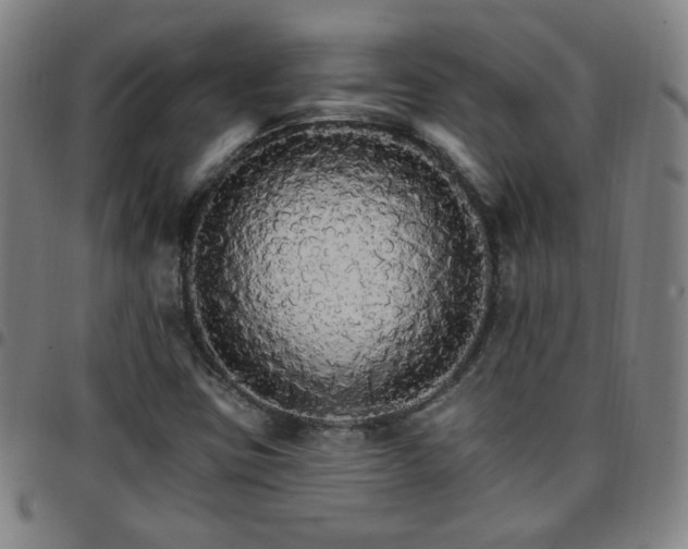 X0000097671403200803071544