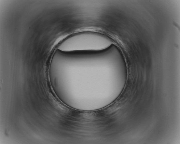 X0000097671404200803071544