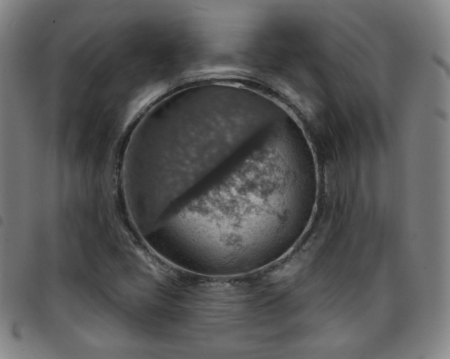 X0000097671405200803071544