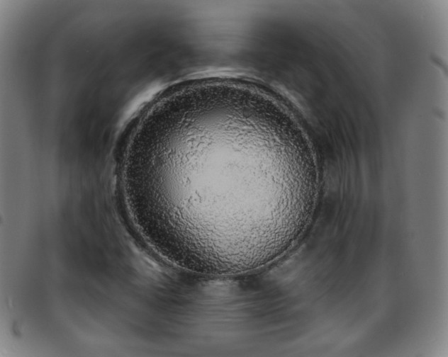 X0000097671406200803071544
