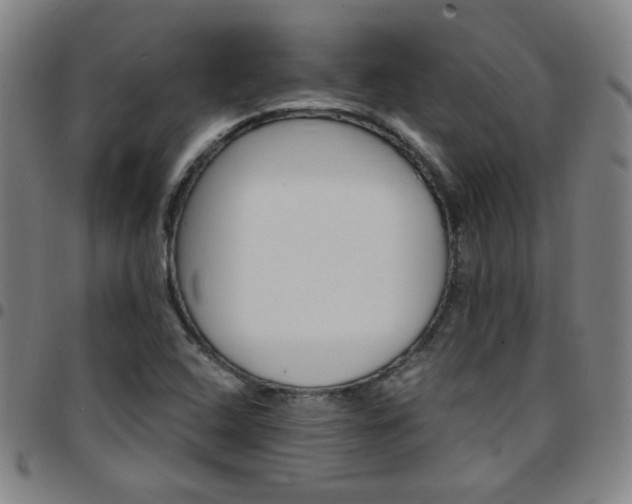 X0000097671408200803071545