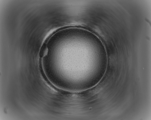 X0000097671412200803071545