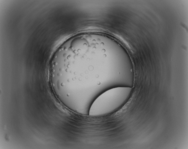 X0000097671413200803071545