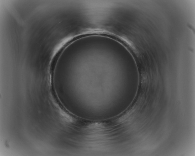 X0000097671414200803071545
