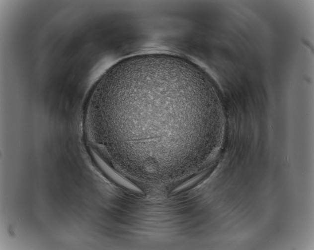 X0000097671415200803071545