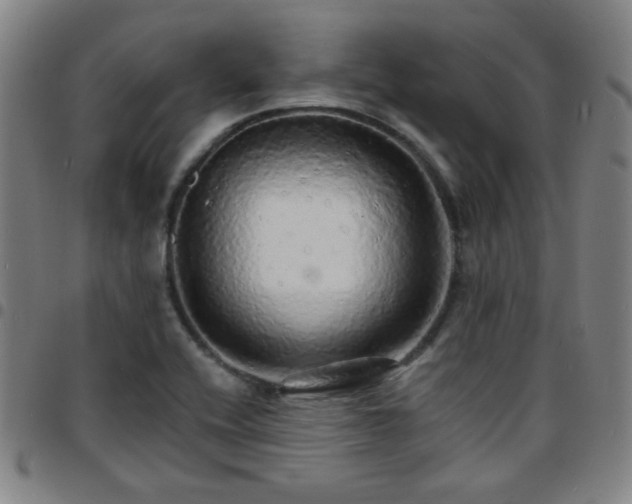 X0000097671416200803071545