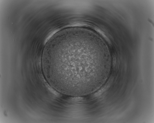 X0000097671417200803071545