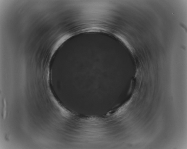X0000097671418200803071545