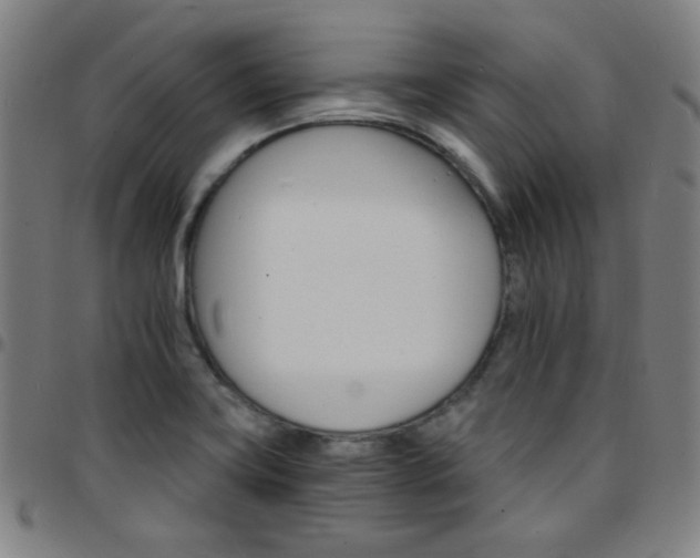 X0000097671419200803071545