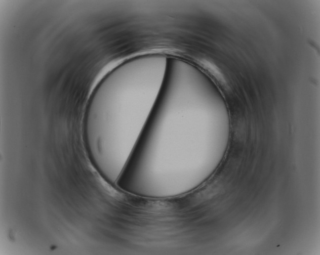 X0000097671420200803071545