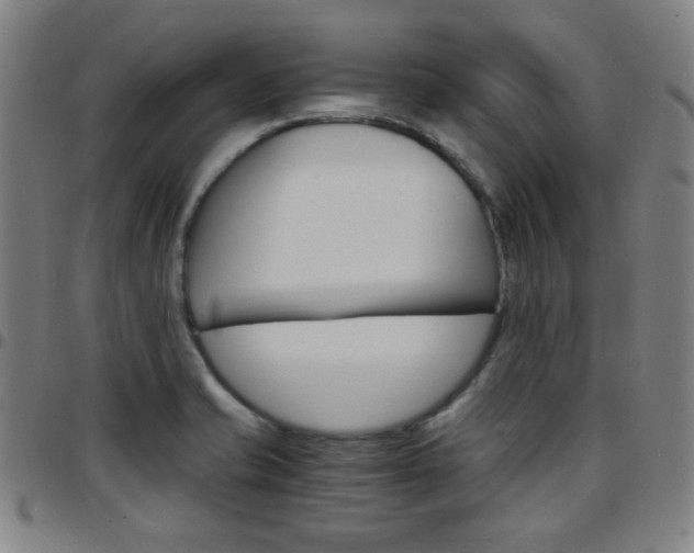 X0000097671421200803071545
