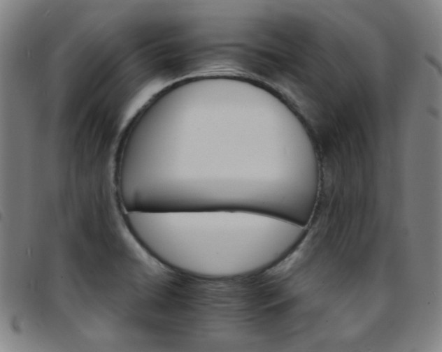 X0000097671422200803071545