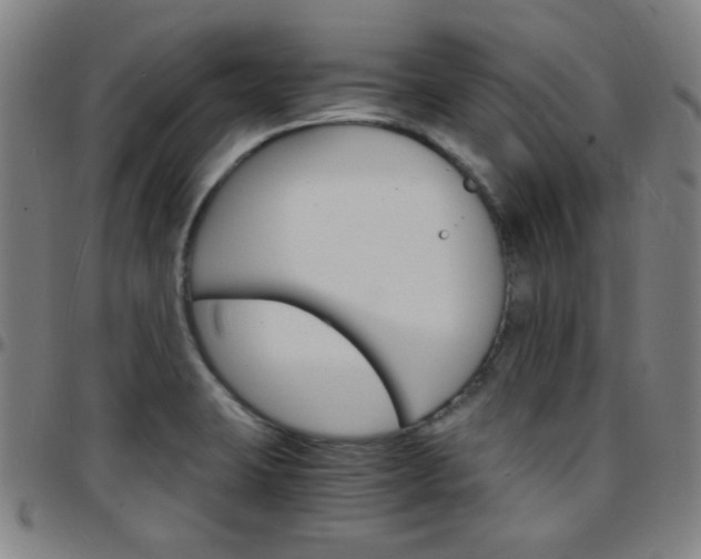 X0000097671423200803071545