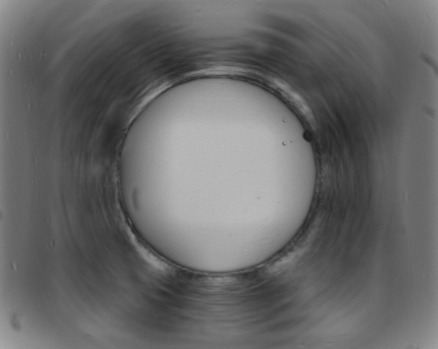 X0000097671425200803071545
