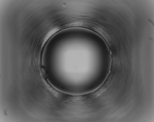 X0000097671426200803071545
