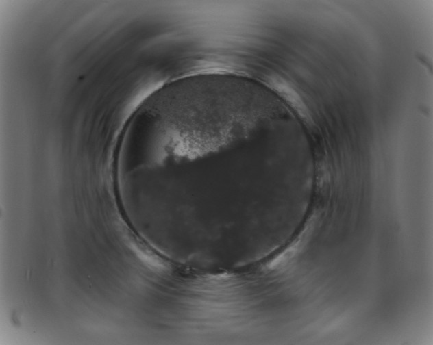 X0000097671427200803071545
