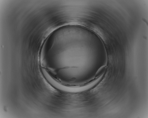 X0000097671428200803071545