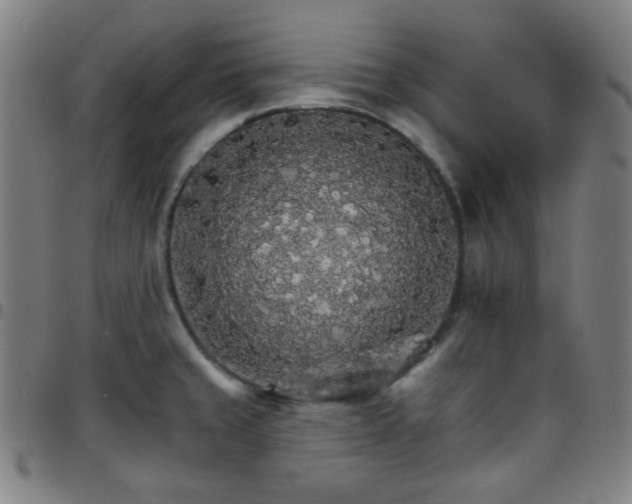 X0000097671429200803071545