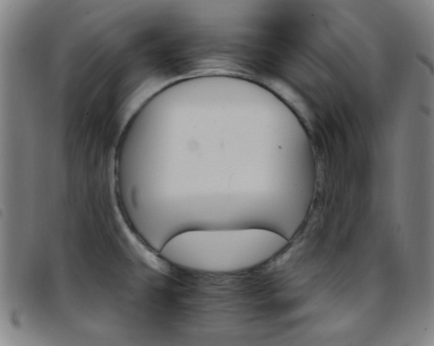 X0000097671431200803071545