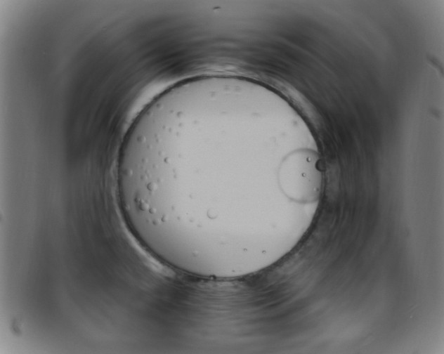 X0000097671432200803071545