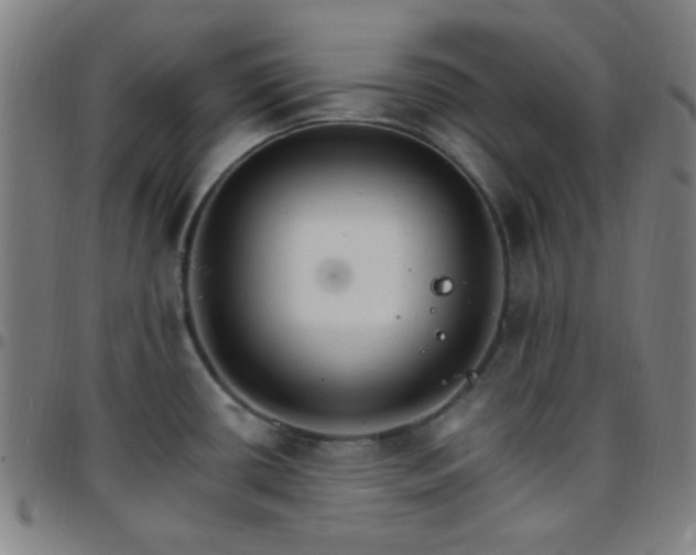 X0000097671434200803071545