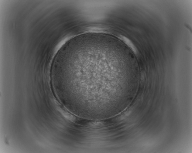 X0000097671435200803071545