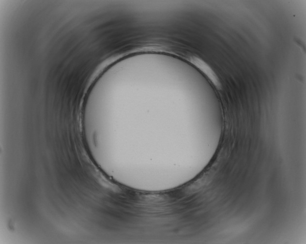 X0000097671436200803071545