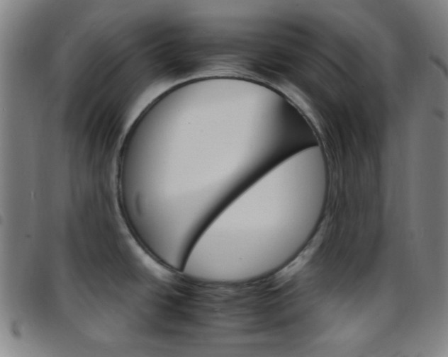 X0000097671438200803071545