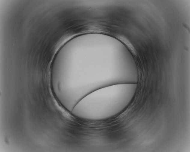 X0000097671439200803071545