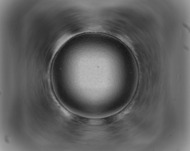 X0000097671440200803071545