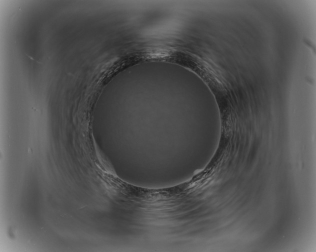 X0000097671441200803071544