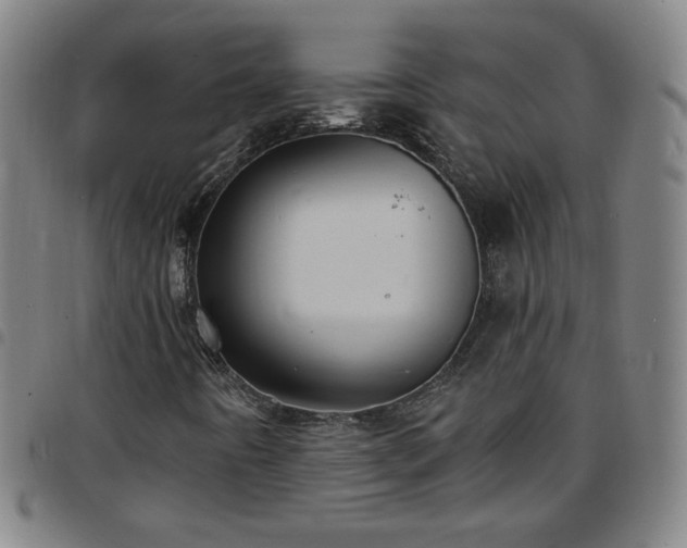 X0000097671442200803071544